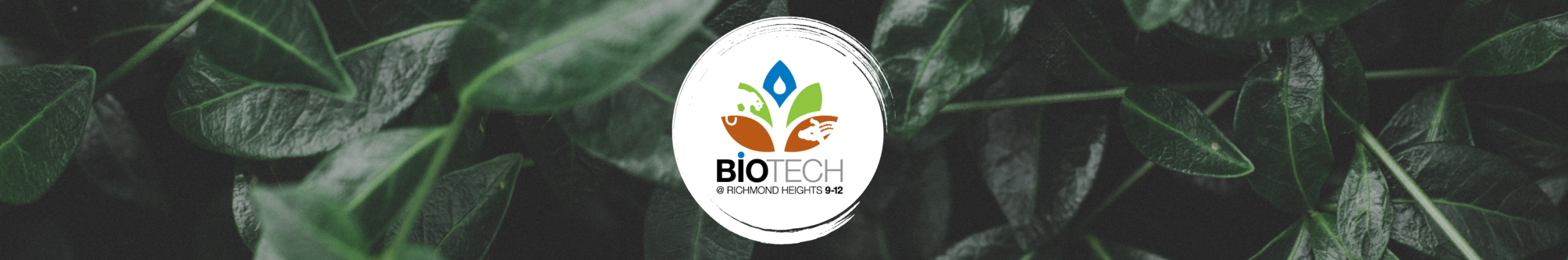 Biotech Senior Highschool